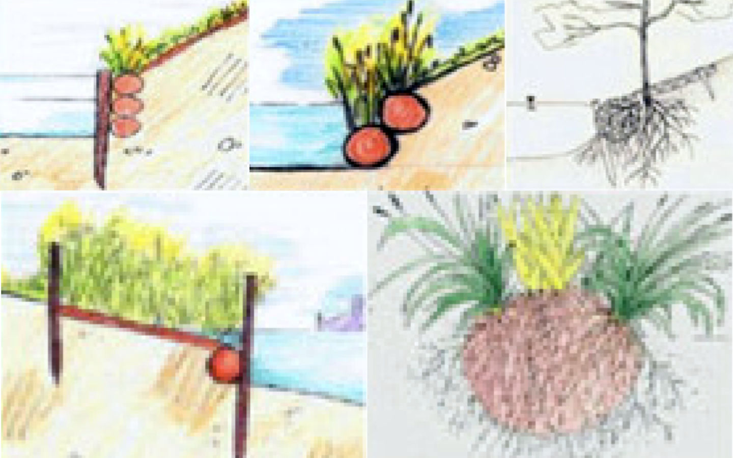 Kokosovi valji - erozijska zaščita strmih brežin